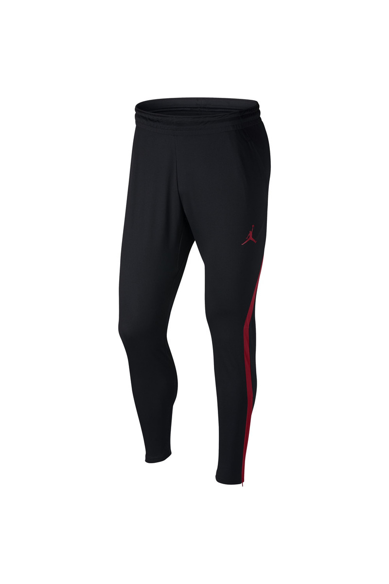 Jordan 23 hot sale alpha pants