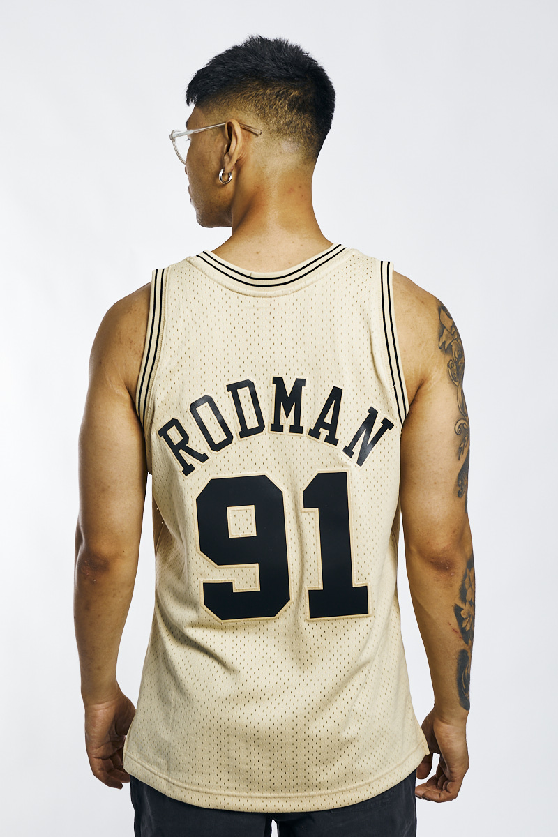 Dennis Rodman Men's Chicago Bulls Mitchell & Ness Swingman Jersey - Khaki 23 Khaki / L