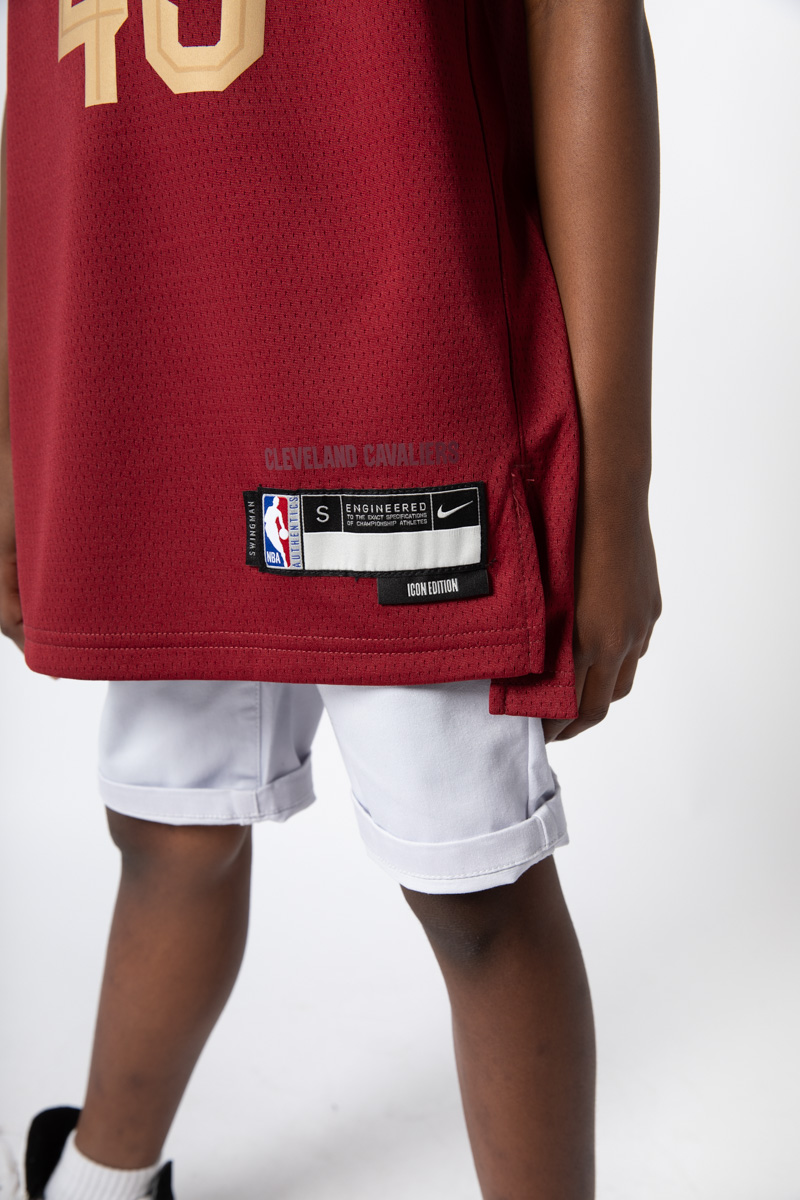 LeBron James Cleveland Cavaliers Nike Swingman Jersey Maroon - Icon Edition