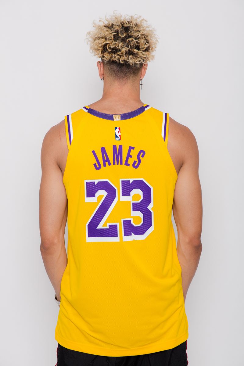 lebron james icon edition authentic jersey