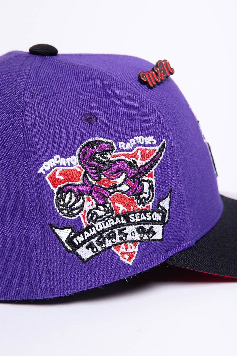 Mitchell And Ness Toronto Raptors Vince Carter 99-00 Swingman Jersey in  Purple - Intersport Australia