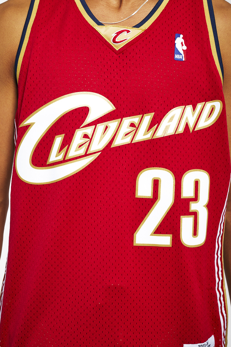 LeBron James Rookie Jersey Hits Auction Block, Could Break $630k