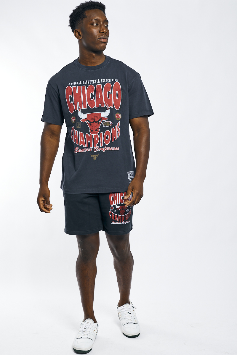 Chicago Bulls 1996 Champions Nba Basketball Shirt - High-Quality Printed  Brand