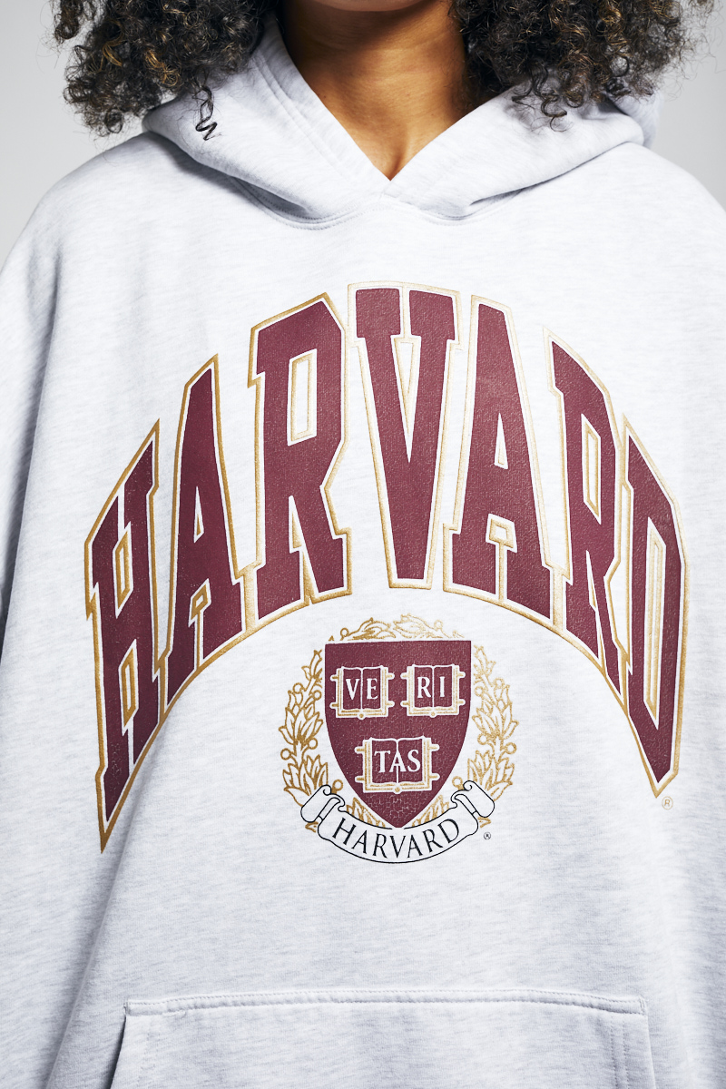 White on sale harvard hoodie