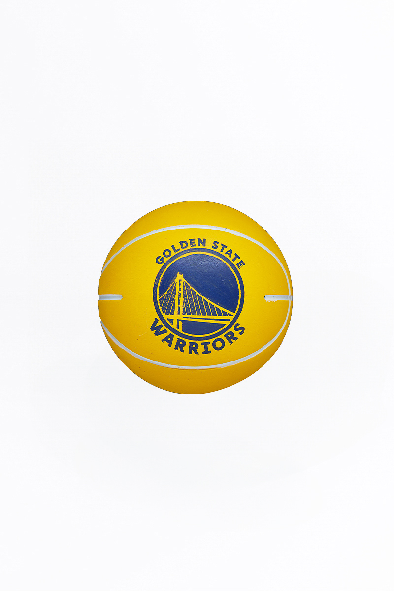 Golden state best sale warrior merch