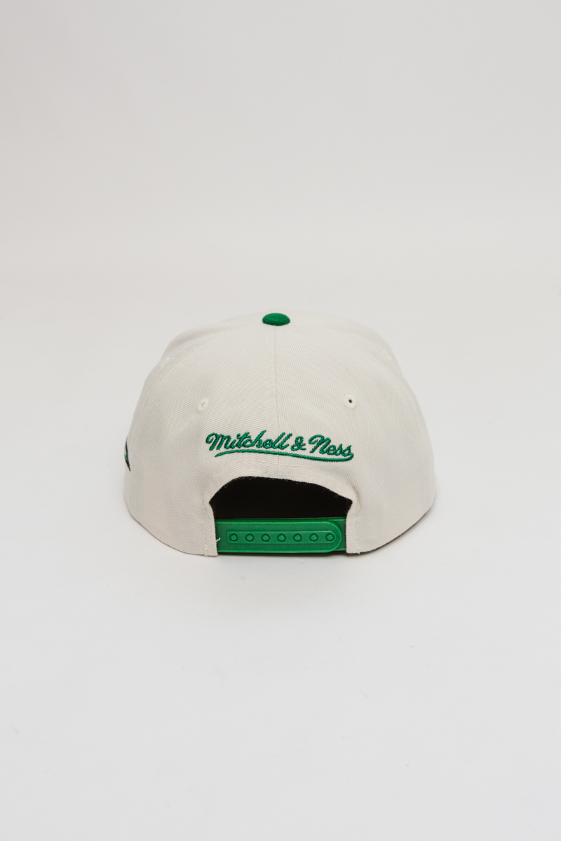 celtics banner hat