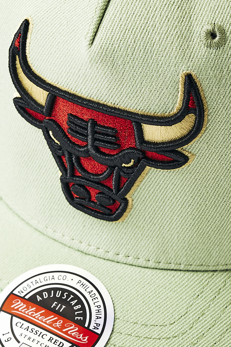 Chicago Bulls Diamond One Pinch Panel Cap in Cucumber | Stateside Sports