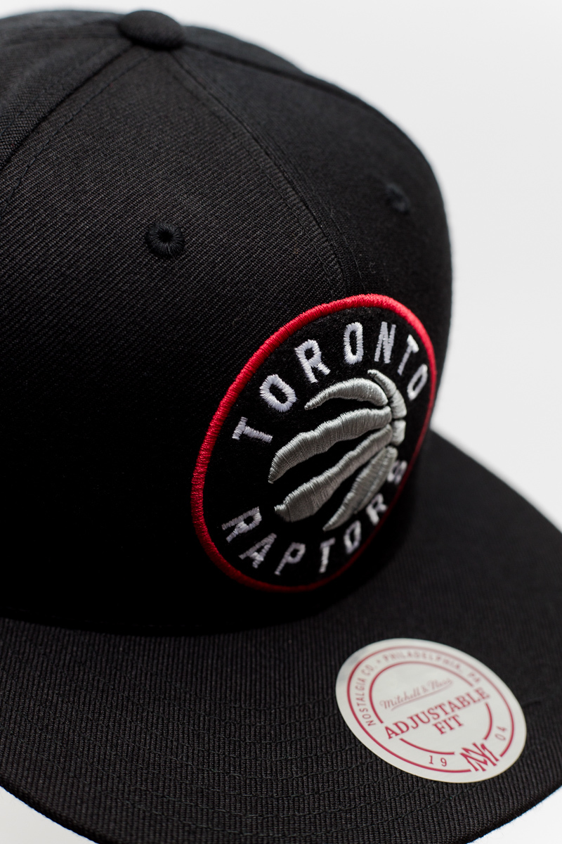 vintage raptors hat