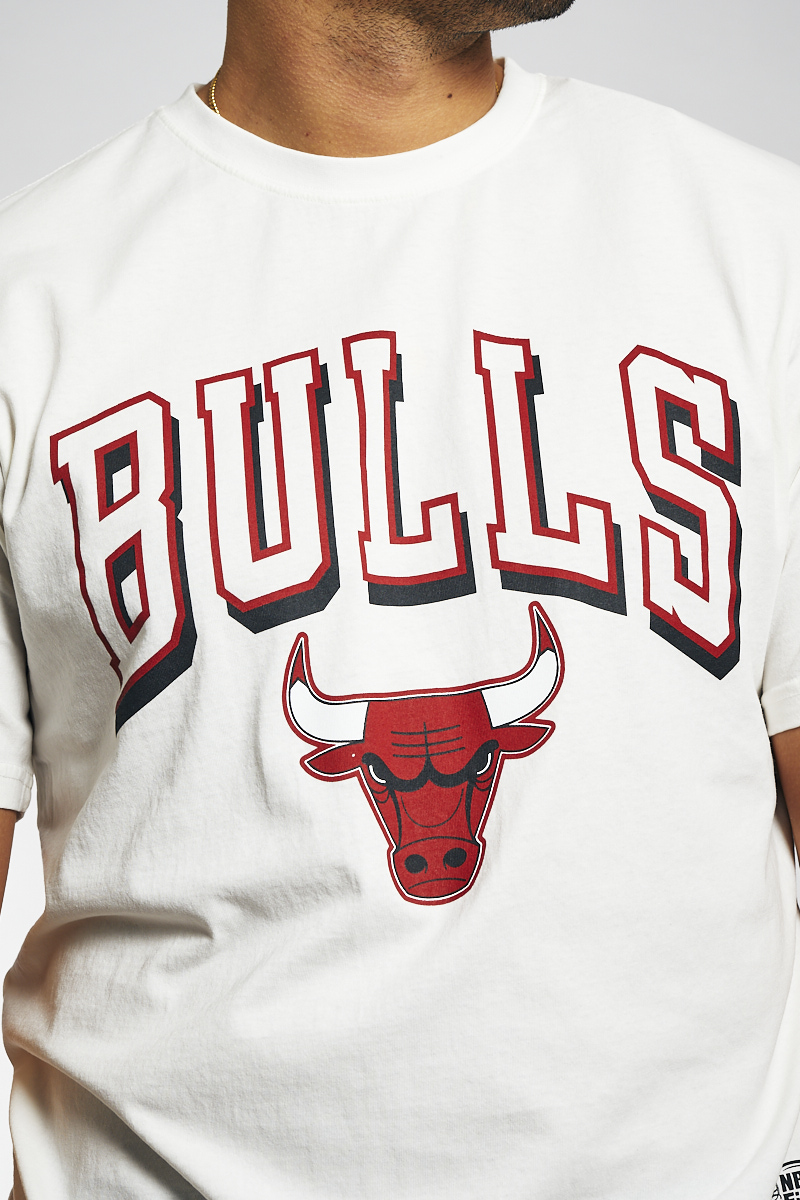 Chicago Bulls Vintage Keyline Logo Tee in Vintage White