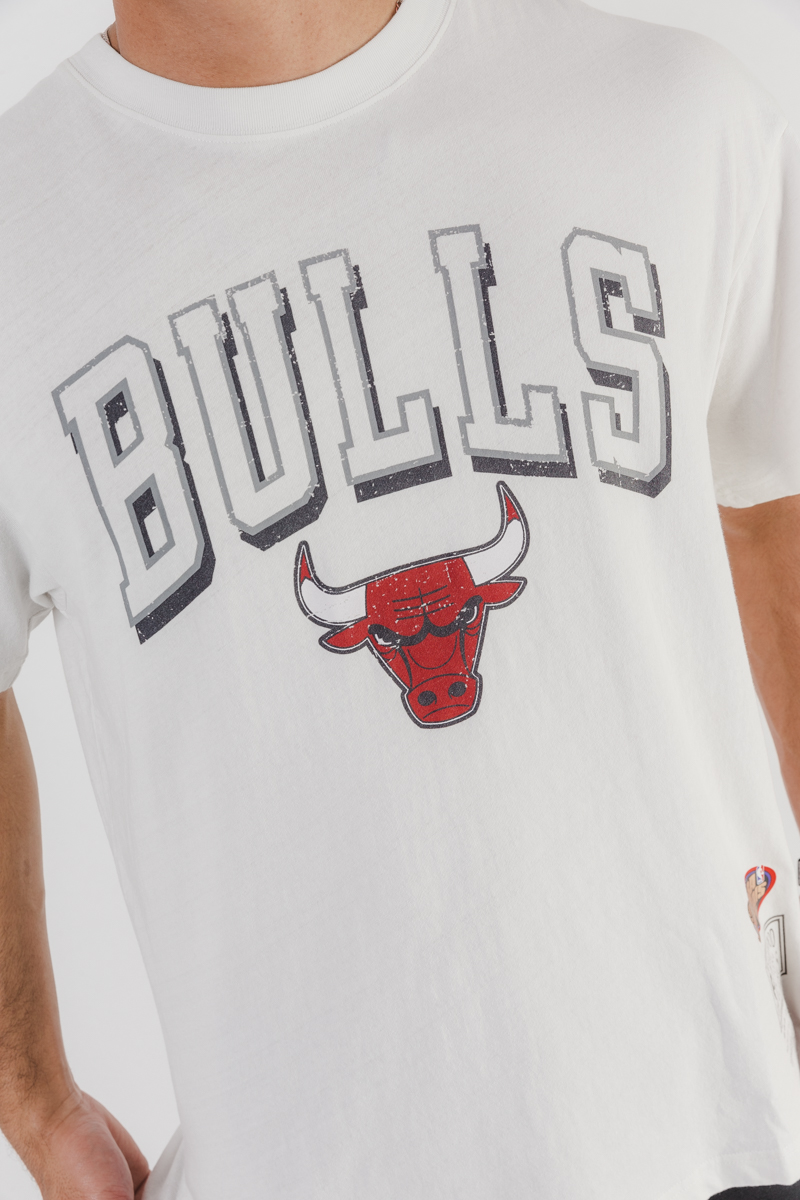 Chicago Bulls Vintage Keyline Logo Tee in Vintage White