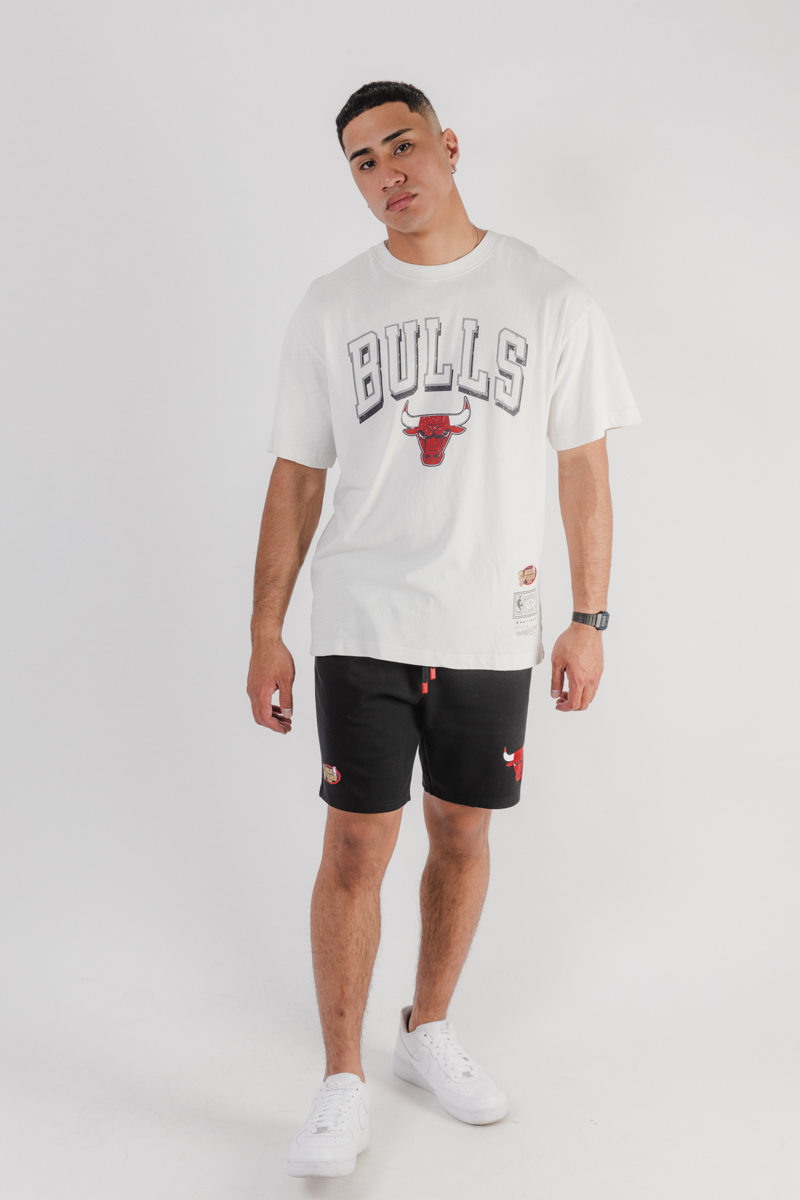 Chicago Bulls Vintage Keyline Logo Tee in Vintage White